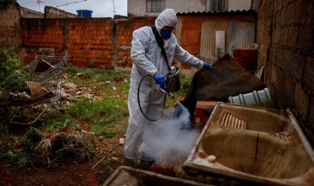 عکس: رویترز شیوع بیسابقه تب دنگی در آمریکای جنوبی/ برزیل اولین کشور با برنامه واکسیناسیون سراسری