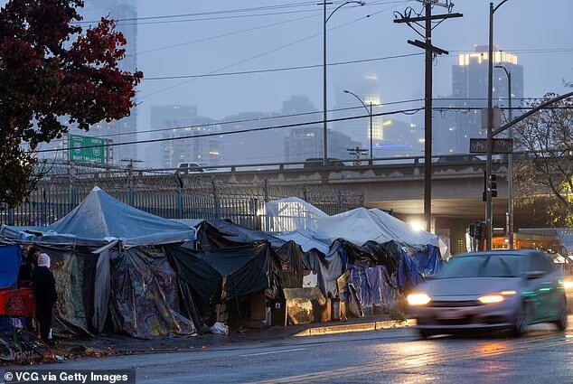 بی‌خانمان‌های کالیفرنیا در کنار رودخانه غار حفر می‌کنند