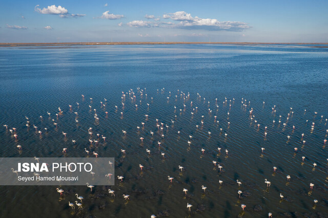 تالاب هورالعظیم اسناد مالکیت ۵ تالاب و دو رودخانه بزرگ خوزستان تحویل داده شد