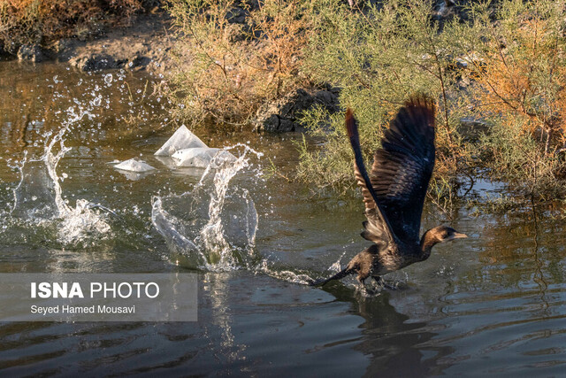 تالابهایی بدون آب