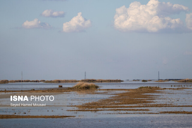 تالاب هورالعظیم هوای خوزستان/ یک شهر پاک، هفت شهر قابل قبول