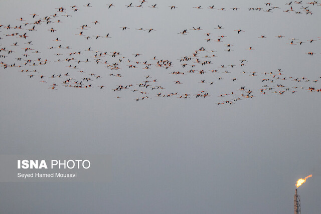 فلرسوزی در خوزستان وضعیت «قرمز» هوا در ۶ شهر خوزستان