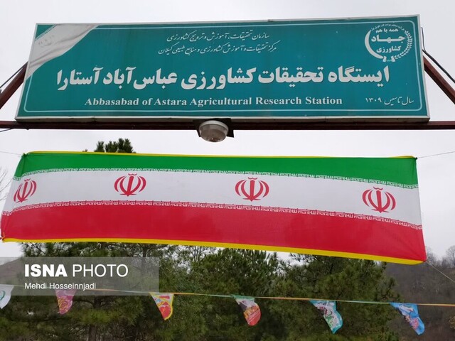 انتشار//افتتاح نخستین ایستگاه تحقیقات کیوی کشور در آستارا