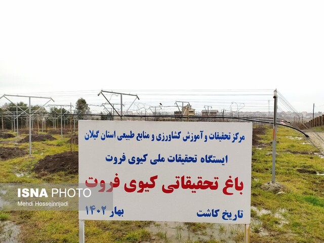 انتشار//افتتاح نخستین ایستگاه تحقیقات کیوی کشور در آستارا