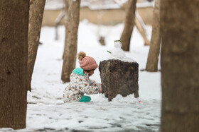 بارش برف در همدان