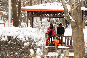 بارش برف در همدان