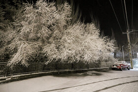 بارش برف در همدان