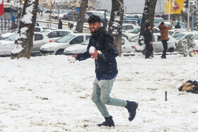 پرسه در برف تهران