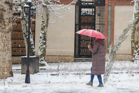 پرسه در برف تهران