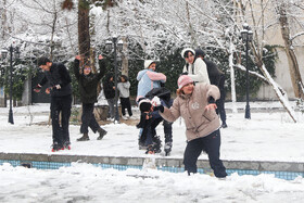 پرسه در برف تهران