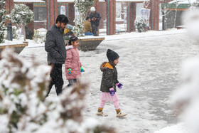 پرسه در برف تهران