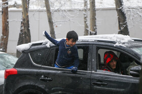 پرسه در برف تهران