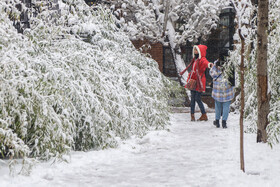 پرسه در برف تهران