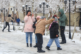 پرسه در برف تهران