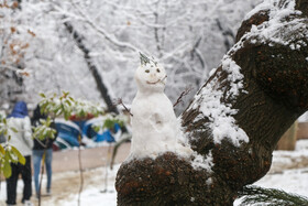 پرسه در برف تهران