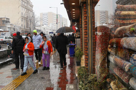 پرسه در برف تهران