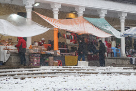 پرسه در برف تهران