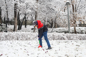 پرسه در برف تهران