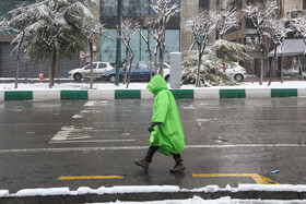 پرسه در برف تهران