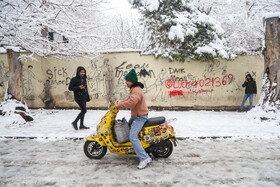 پرسه در برف تهران