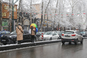 پرسه در برف تهران