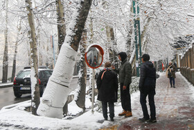 پرسه در برف تهران