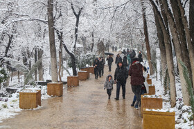 پرسه در برف تهران