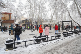 پرسه در برف تهران