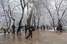 پرسه در برف تهران