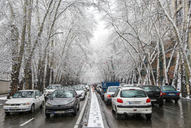 پرسه در برف تهران