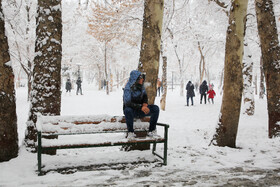 خوشحالی مردم مشهد پس از بارش برف

