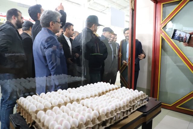 تلاش دولت این است کالاها «ارزانتر» به دست مردم برسد