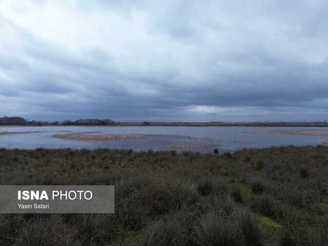 دیوارهسازی، حیات دوباره به تالاب بوجاق بخشید/ ۲۰ هزار پرنده مهاجر، میهمان پارک ملی