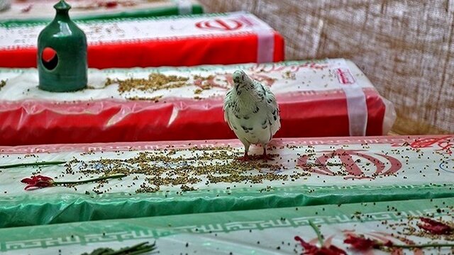 تجلیل از خانواده ۲۹ «شهید غریب» در کرمانشاه تجلیل از خانواده ۲۹ «شهید غریب» در کرمانشاه
