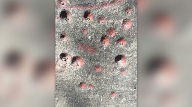 قدیمیترین آثار هنری تاریخ جهان