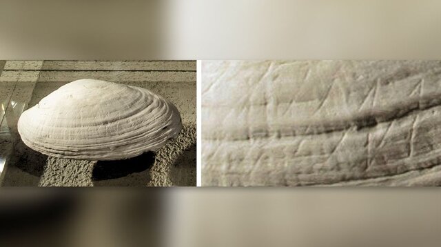 قدیمیترین آثار هنری تاریخ جهان