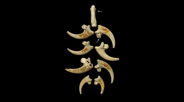 قدیمیترین آثار هنری تاریخ جهان