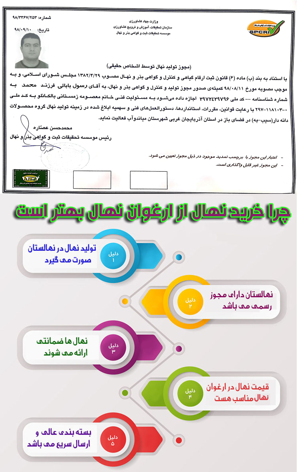 امتیاز خرید بدون واسطه نهال از یک شرکت معتبر