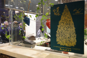 چهارمین روز جشنواره فیلم فجر مشهد