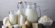کمبود لبنیات در رژیم غذایی و افزایش خطر پوکی استخوان و کوتاهی قد