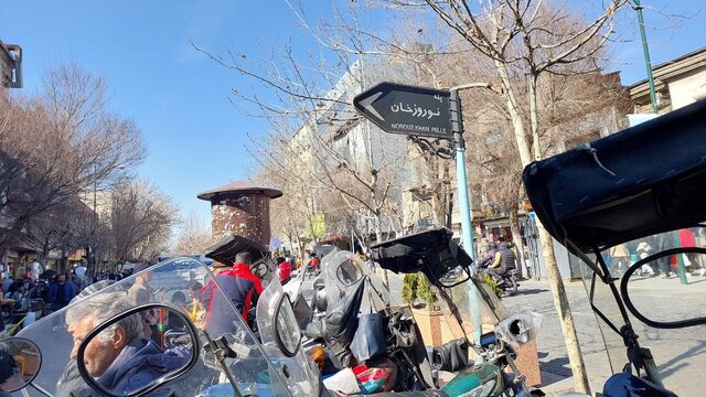 عشقفروشی در دنیای خرسها و شکلاتها!