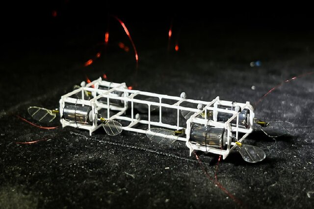 وقتی حشرات علم رباتیک را آموزش میدهند!