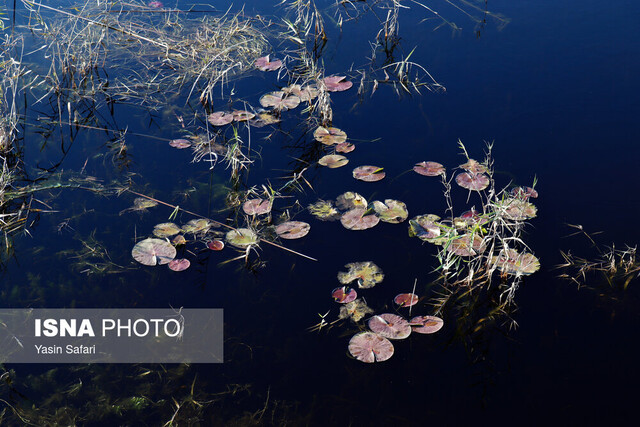 تالاب امیرکلایه؛ طبیعتی با چشم انداز زیبا و به یاد ماندنی