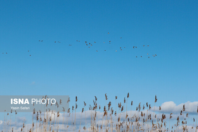 تالاب امیرکلایه؛ طبیعتی با چشم انداز زیبا و به یاد ماندنی