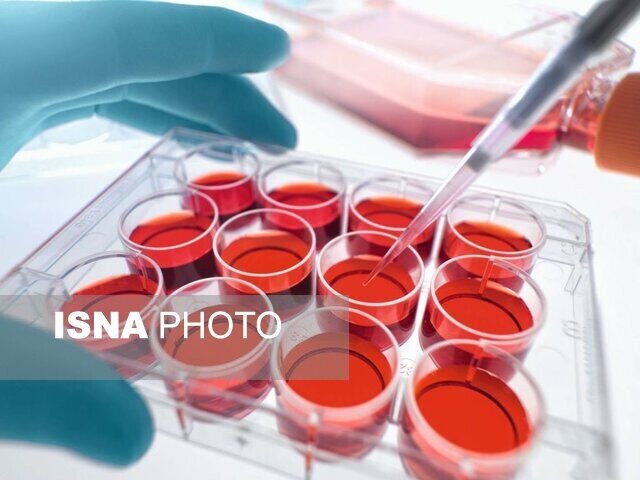 سلولهای بنیادی خون بندناف در درمان کدام بیماریها کاربرد دارد؟