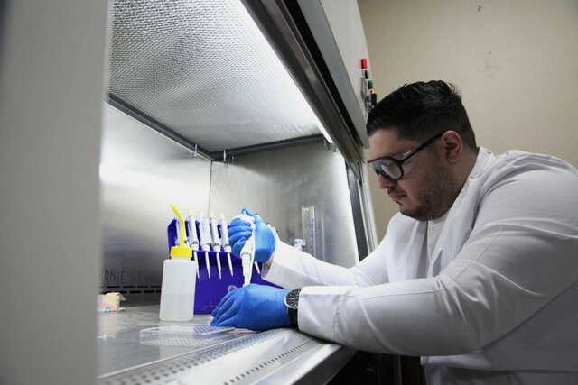 کنترل «حلیت» اقلام سلامتمحور در وزارت بهداشت/از کپسولهای ژلاتینی تا دریچه قلبی و لوازم آرایشی