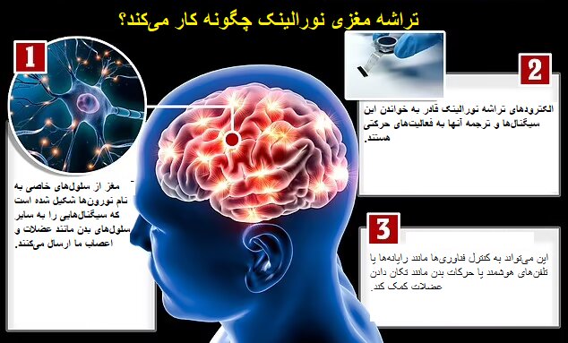 ایلان ماسک میگوید اولین دریافتکننده تراشه نورالینک ماوس را با فکر کنترل میکند