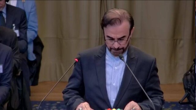 رضا نجفی، معاون امور حقوقی و بینالمللی وزیر امور خارجه درخواست ایران از دیوان لاهه برای پایان دادن به اشغال طولانی فلسطین و نجات جان زنان و کودکان غزه