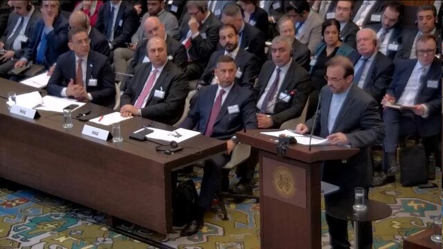 درخواست ایران از دیوان لاهه برای پایان دادن به اشغال طولانی فلسطین و نجات جان زنان و کودکان غزه