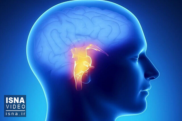 ویدیو/ معمای مرگ؛ رمزگشایی از سیگنالهای نهایی مغز ویدیو/ معمای مرگ؛ رمزگشایی از سیگنالهای نهایی مغز